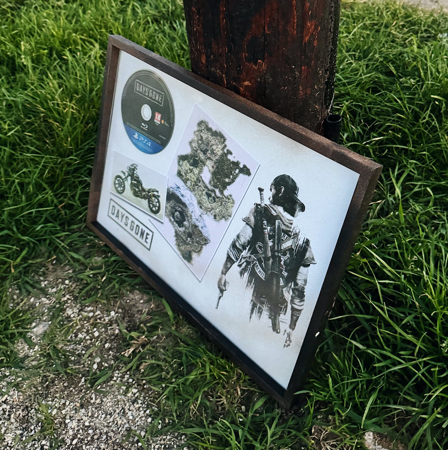 Days Gone