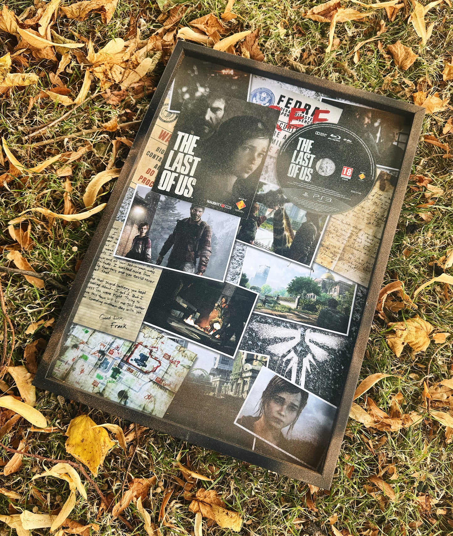 The Last of Us