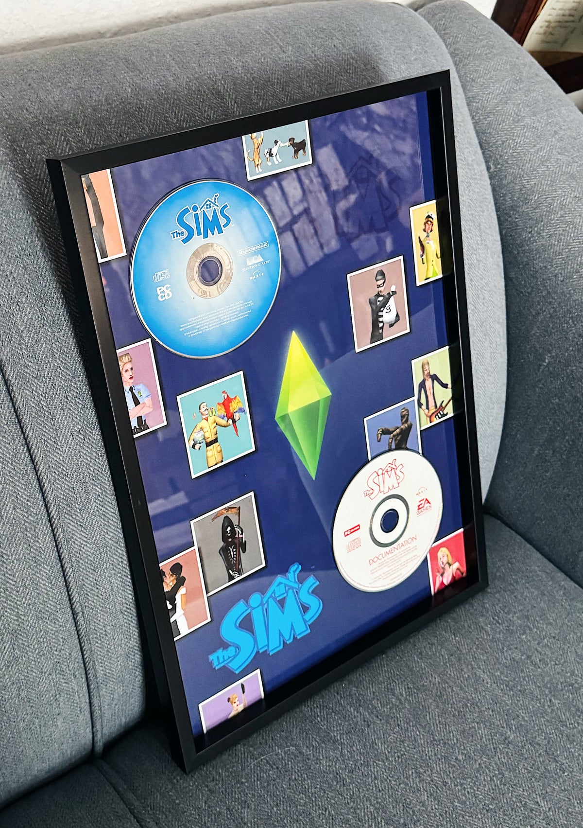 The Sims