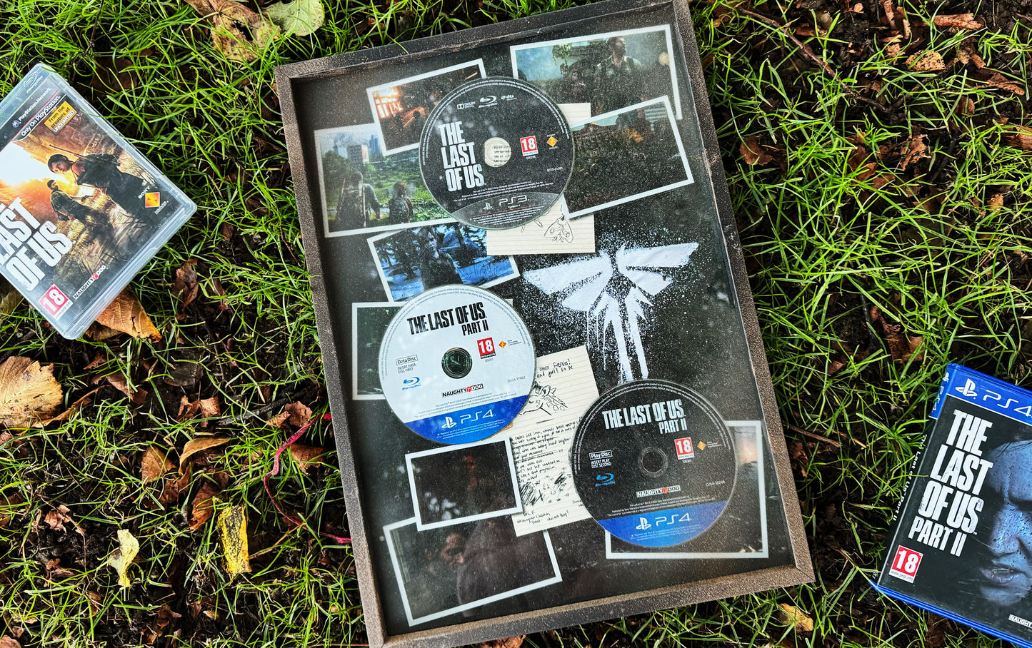 The Last of Us Collection