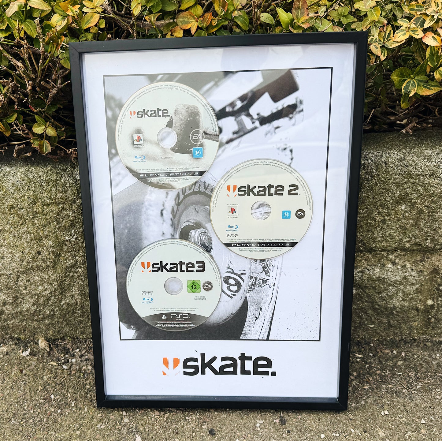 Skate Trilogy