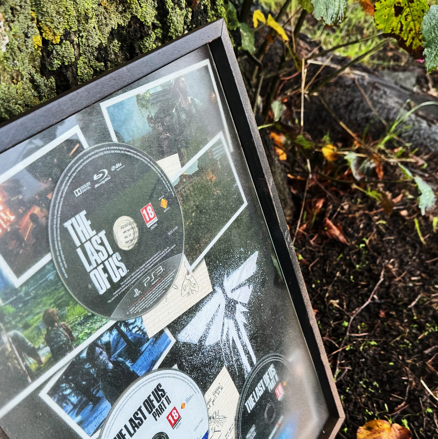 The Last of Us Collection