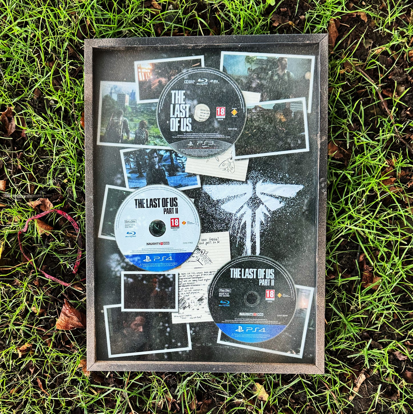 The Last of Us Collection